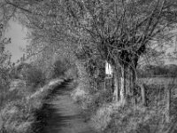 Uferweg  PENTAX K-3 Mark III Monochrome SMC PENTAX-FA F1.8/77 Limited  - 06.11.2025 -