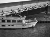 Rembrandt unter der Rheinbrücke  PENTAX K-3 Mark III Monochrome SMC PENTAX-FA F1.8/77 Limited  - 06.11.2025 -