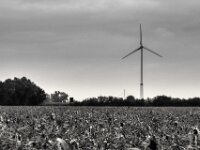 Windrad  PENTAX K-3 Mark III Monochrome, smc PENTAX-FA F1.8/77 Limited   - 07.10.2025 -