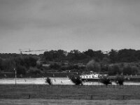 Schiff mit Flugbegleitung  PENTAX K-3 Mark III Monochrome, smc PENTAX-FA F1.8/77 Limited   - 07.10.2025 -