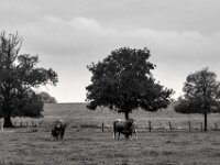 Nachwuchs  PENTAX K-3 Mark III Monochrome, smc PENTAX-FA F1.8/77 Limited   - 07.10.2025 -