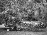 Unterstand  PENTAX K-3 Mark III Monochrome, smc PENTAX-FA F1.8/77 Limited   - 07.10.2025 -