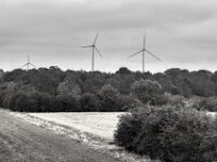 Blühfeld und Windräder  PENTAX K-3 Mark III Monochrome, smc PENTAX-FA F1.8/77 Limited   - 07.10.2025 -