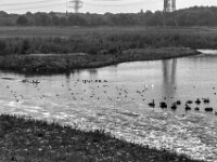 Emschermündung am Rhein  PENTAX K-3 Mark III Monochrome, smc PENTAX-FA F1.8/77 Limited   - 07.10.2025 -