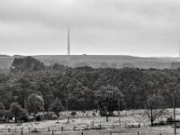 Windräder im  Dunst  PENTAX K-3 Mark III Monochrome, smc PENTAX-FA F1.8/77 Limited   - 07.10.2025 -