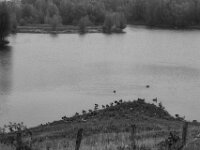Sammelplatz  PENTAX K-3 Mark III Monochrome, smc PENTAX-FA F1.8/77 Limited   - 07.10.2025 -