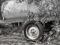 Platt  PENTAX K-3 Mark III Monochrome, smc PENTAX-FA F1.8/77 Limited   - 07.10.2025 -