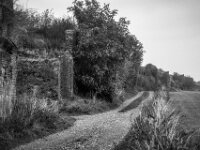Am alten Eisenbahnviadukt  PENTAX K-3 Mark III Monochrome, smc PENTAX-FA F1.8/77 Limited   - 07.10.2025 -
