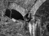 Langsamer Zerfall  PENTAX K-3 Mark III Monochrome, smc PENTAX-FA F1.8/77 Limited   - 07.10.2025 -