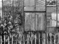 Gewächshaus  PENTAX K-3 Mark III Monochrome, smc PENTAX-FA F1.8/77 Limited   - 07.10.2025 -