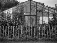 Altes Gewächshaus  PENTAX K-3 Mark III Monochrome, smc PENTAX-FA F1.8/77 Limited   - 07.10.2025 -