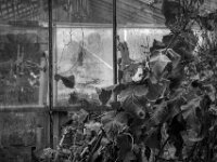 Melancholie  PENTAX K-3 Mark III Monochrome, smc PENTAX-FA F1.8/77 Limited   - 07.10.2025 -