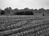 Mensch mit Hund  PENTAX K-3 Mark III Monochrome, smc PENTAX-FA F1.8/77 Limited   - 07.10.2025 -