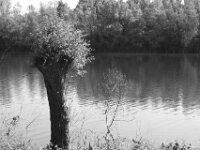 Xantener Nordsee  PENTAX K-3 Mark III Monochrome, SMC PENTAX-FA 1.9/43 Limited  - 09-05-2025 -