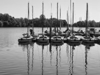 Frühjahrsputz  PENTAX K-3 Mark III Monochrome, SMC PENTAX-FA 1.9/43 Limited  - 09-05-2025 -