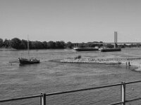 Rheinblick bei Rees  PENTAX K-3 Mark III Monochrome, SMC PENTAX-FA 1.9/43 Limited  - 09-05-2025 -