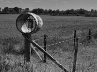 Weidenwächter  PENTAX K-3 Mark III Monochrome, SMC PENTAX-FA 1.9/43 Limited  - 09-05-2025 -