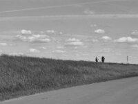 Auf dem Rheindeich  PENTAX K-3 Mark III Monochrome, SMC PENTAX-FA 1.9/43 Limited  - 09-05-2025 -