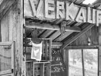 Friedenstaube  PENTAX K-3 Mark III Monochrome, SMC PENTAX-FA 1.9/43 Limited  - 09-05-2025 -