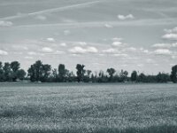 Wolken und Raps  PENTAX K-3 Mark III Monochrome, SMC PENTAX-FA 1.9/43 Limited  - 09-05-2025 -