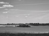 Landschaft wird abgebaggert  PENTAX K-3 Mark III Monochrome, SMC PENTAX-FA 1.9/43 Limited  - 09-05-2025 -