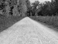 Weg am Auesee  PENTAX K-3 Mark III Monochrome, SMC PENTAX-FA 1.9/43 Limited  - 09-05-2025 -