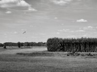 Segelflugplatz  PENTAX K-3 Mark III Monochrome, SMC PENTAX-FA 1.9/43 Limited  - 09-05-2025 -