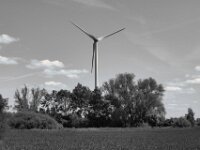 Windrad  PENTAX K-3 Mark III Monochrome, SMC PENTAX-FA 1.9/43 Limited  - 09-05-2025 -