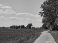 Fast Zuhause  PENTAX K-3 Mark III Monochrome, SMC PENTAX-FA 1.9/43 Limited  - 09-05-2025 -