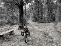 Kurze Pause in Testerberge  PENTAX K-3 Mark III Monochrome, HD PENTAX - DA* 2.8/16-50 ED PLM AW  - 09.07.2025 -