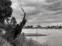 Rheinufer  PENTAX K-3 Mark III Monochrome, HD PENTAX - DA* 2.8/16-50 ED PLM AW  - 09.07.2025 -