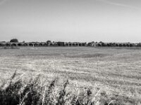Viadukt Ruine  PENTAX K-3 Mark III Monochrome, SMC PENTAX-FA 1.8/31 Limited  - 10.08.2025 -