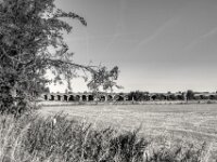 Altes Eisebahn-Viadukt  PENTAX K-3 Mark III Monochrome, SMC PENTAX-FA 1.8/31 Limited  - 10.08.2025 -