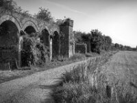 Zerfall und Bewuchs  PENTAX K-3 Mark III Monochrome, SMC PENTAX-FA 1.8/31 Limited  - 10.08.2025 -