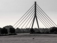 Der Reiher vor der Brücke  PENTAX K-3 Mark III Monochrome, SMC PENTAX-FA 1.8/31 Limited  - 10.08.2025 -