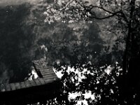 Waldteich - Bombentrichter  Yashica FR I, Contax Carl Zeiss Planar 1.4/50, ADOX CHS 100II  - 12.07.2025 -