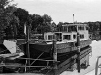 Domspatz Nachfolger der Seestern  Yashica FR I, Contax Carl Zeiss Planar 1.4/50, ADOX CHS 100II  - 12.07.2025 -
