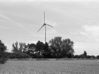 Windrad  Yashica FR I, Contax Carl Zeiss Planar 1.4/50, ADOX CHS 100II  - 12.07.2025 -