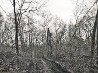 Waldwege und Unterholz werden zerstört  iPhone 17 pro  - 14.12.2025 -