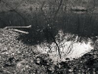 Waldteich  Pentax 645N, SMC PENTAX-FA 645  2.8/45, KODAK TX 400@800  - 12.12.2025 -