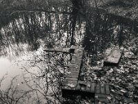 Der Teich war ein Bombentrichter  Pentax 645N, SMC PENTAX-FA 645  2.8/45, KODAK TX 400@800  - 12.12.2025 -