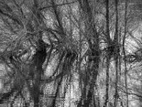 Spiegelung  PENTAX K-3 Mark III Monochrome, HD PENTAX - D FA* 2.8/70-200 ED DC AW  - 12.02.2025 -