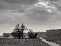 Am Deich  PENTAX K-3 Mark III Monochrome, HD PENTAX - D FA* 2.8/70-200 ED DC AW  - 12.02.2025 -