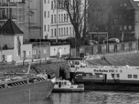 Hafen #6  PENTAX K-3 Mark III Monochrome, HD PENTAX - D FA* 2.8/70-200 ED DC AW  - 12.02.2025 -