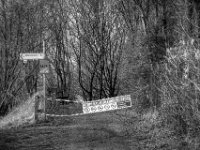 Abholzung: sie können es nicht lassen.  PENTAX K-3 Mark III Monochrome, HD PENTAX - D FA* 2.8/70-200 ED DC AW  - 12.02.2025 -