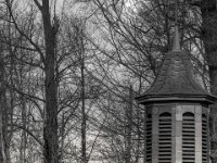 Historischer Hinweis  PENTAX K-3 Mark III Monochrome, HD PENTAX - D FA* 2.8/70-200 ED DC AW  - 12.02.2025 -