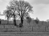 Leben und Tod  PENTAX K-3 Mark III Monochrome, HD PENTAX - D FA* 2.8/70-200 ED DC AW  - 12.02.2025 -