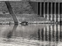 Spundwand  PENTAX K-3 Mark III Monochrome, HD PENTAX - D FA* 2.8/70-200 ED DC AW  - 12.02.2025 -