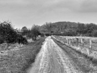 Weg am Lippe Naturschutzgebiet  PENTAX K-3 Mark III Monochrome, HD PENTAX - D FA* 2.8/70-200 ED DC AW  - 12.02.2025 -