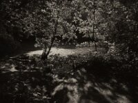 Waldteich  PENTAX K-3 Mark III Monochrome, HD PENTAX - DA* 2.8/16-50 ED PLM AW   - 13.06.2025 -